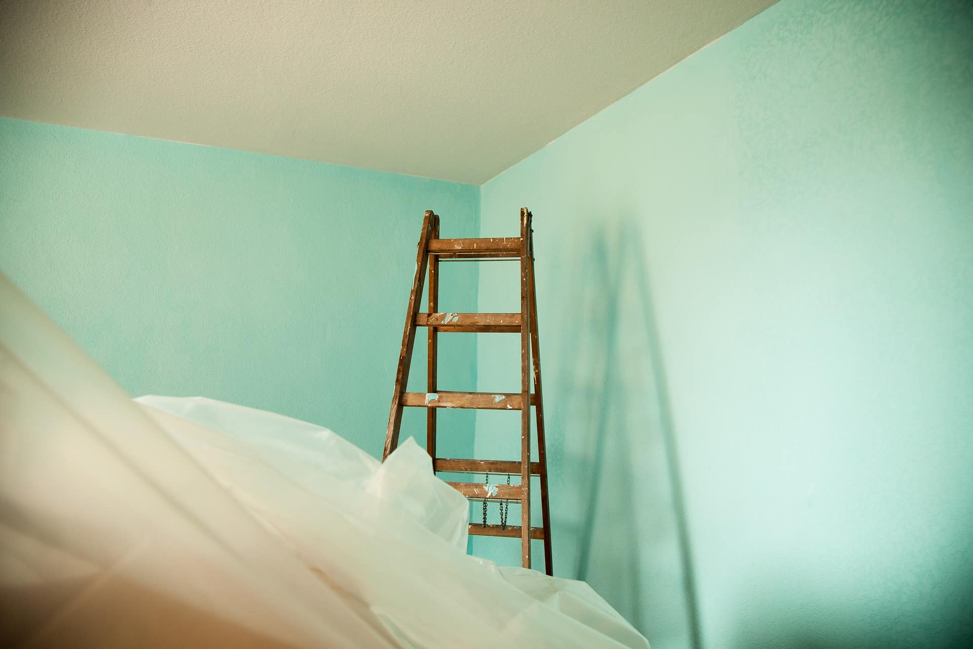 Renovation - dies kann zu Schimmelpilzen führen