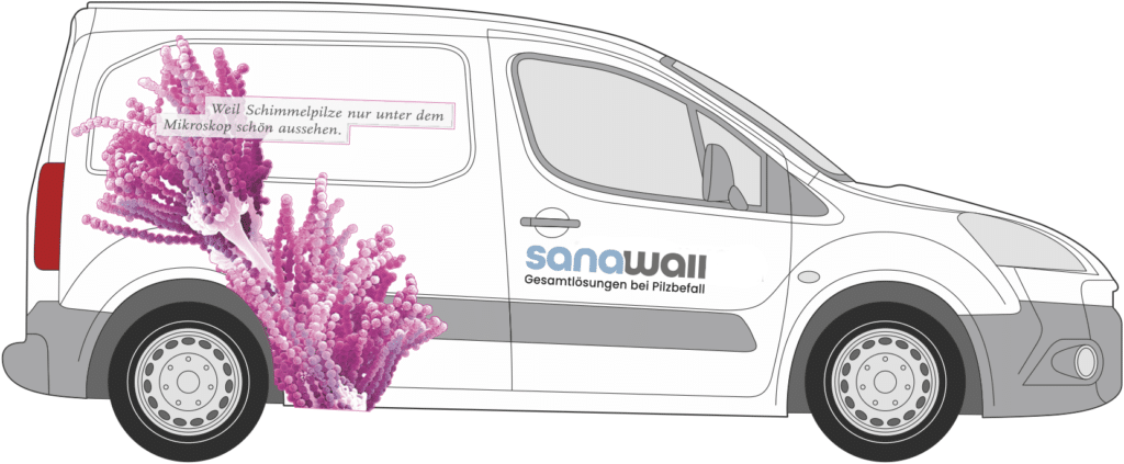 Sanawall Team – Experten für Schimmelsanierung in der Schweiz