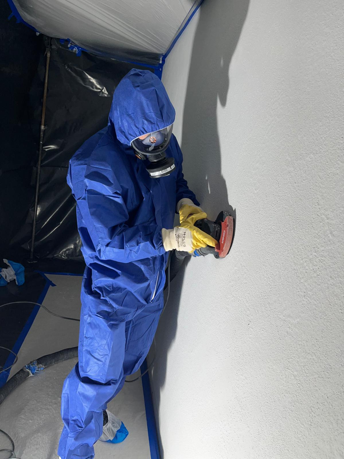 Schimmelpilzbefall im Innenraum – professionelle Analyse Sanawall