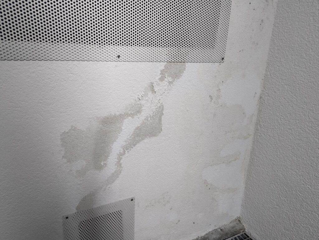Feuchtigkeit Wand Keller – Sanawall Feuchtigkeitssanierung
