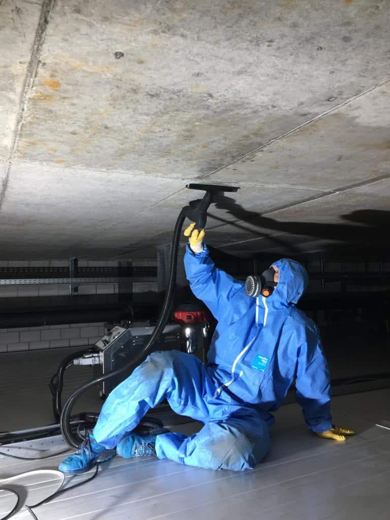 Schimmelsanierung Hygienezone – professionelle Reinigung Sanawall