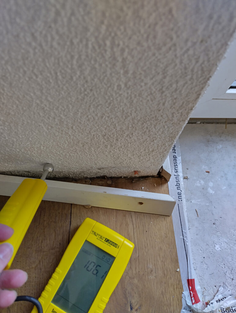 Schimmelmessung vor Ort – Sanawall Analytik & Labor